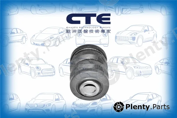 CTE CBH01027 — Mounting, control/trailing arm