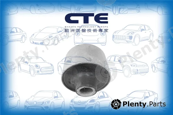 CTE CBH03055 — Mounting, control/trailing arm