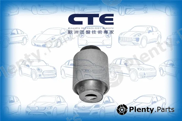 CTE CBH01024 — Mounting, control/trailing arm