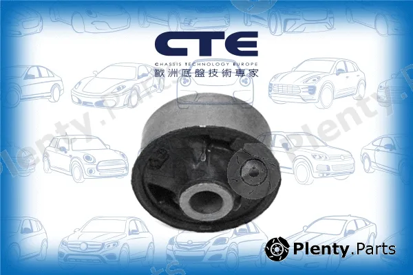 CTE CBH02043 — Mounting, control/trailing arm