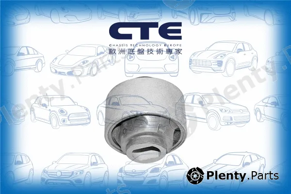 CTE CBH03027 — Mounting, control/trailing arm