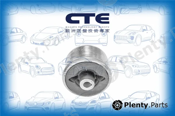 CTE CBH03036 — Mounting, control/trailing arm