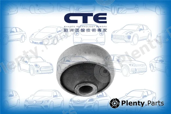 CTE CBH03059 — Mounting, control/trailing arm