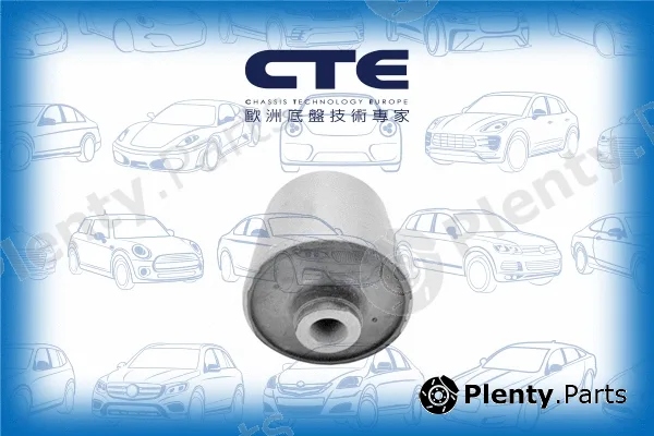 CTE CBH03045 — Mounting, control/trailing arm