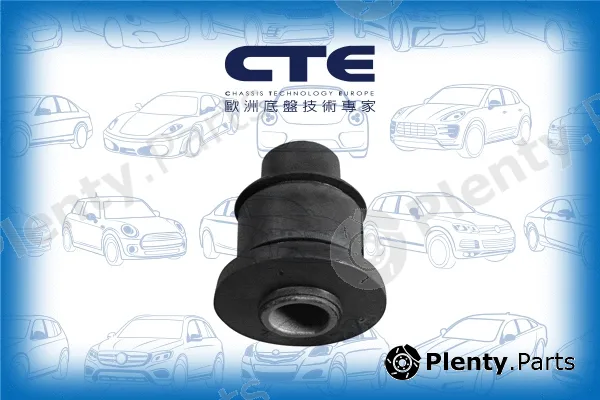 CTE CBH03014 — Mounting, control/trailing arm