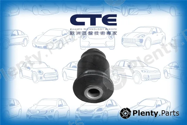 CTE CBH03039 — Mounting, control/trailing arm