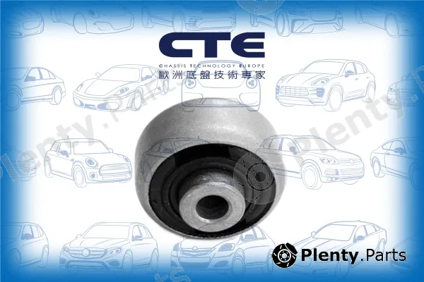 CTE CBH03018 — Mounting, control/trailing arm