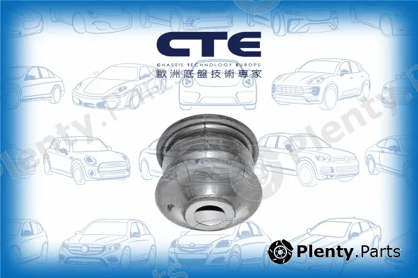 CTE CBH03032 — Mounting, control/trailing arm