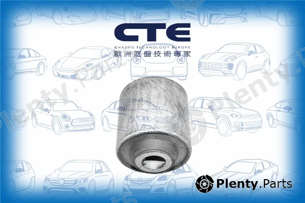 CTE CBH01005 — Mounting, control/trailing arm