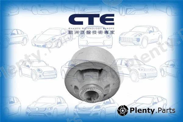 CTE CBH02029 — Mounting, control/trailing arm