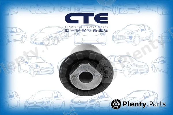 CTE CBH03050 — Mounting, control/trailing arm