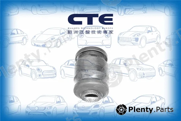 CTE CBH02014 — Mounting, control/trailing arm