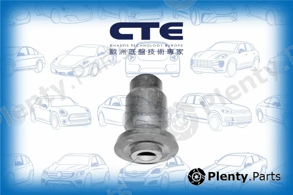 CTE CBH03028 — Mounting, control/trailing arm