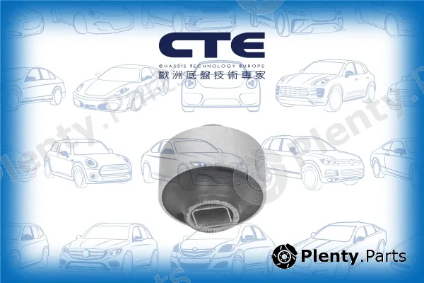 CTE CBH02022 — Mounting, control/trailing arm