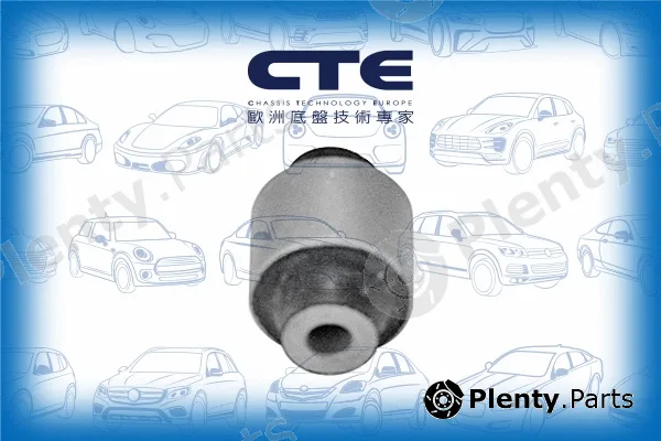 CTE CBH01035 — Mounting, control/trailing arm