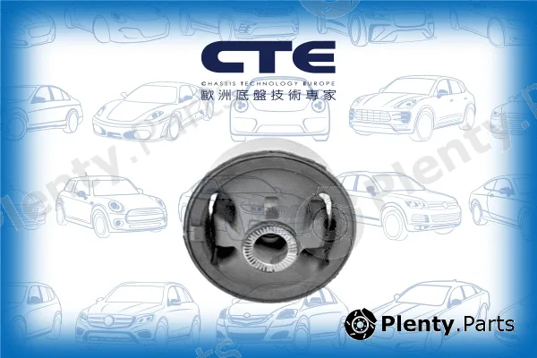 CTE CBH02040 — Mounting, control/trailing arm