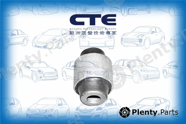 CTE CBH01012 — Mounting, control/trailing arm
