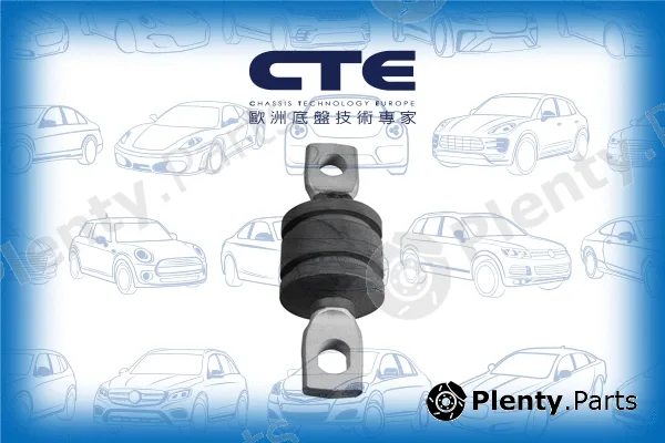 CTE CBH01008 — Mounting, control/trailing arm