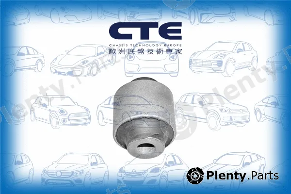 CTE CBH01030 — Mounting, control/trailing arm