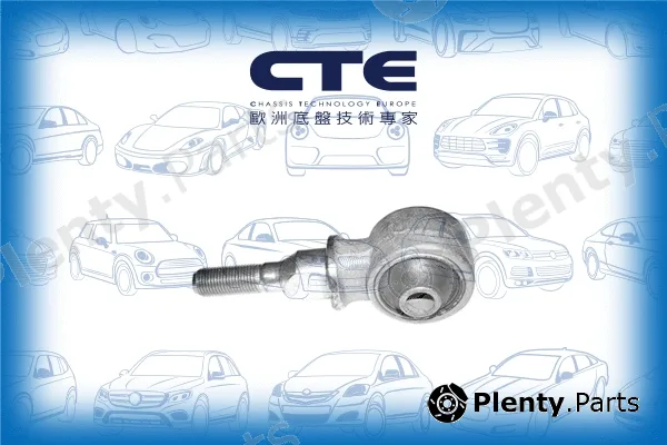 CTE CBH01031 — Mounting, control/trailing arm
