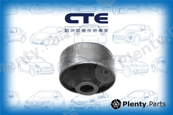 CTE CBH02041 — Mounting, control/trailing arm