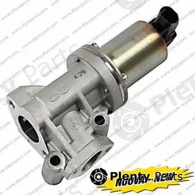 Dipasport EGR236N — EGR Valve