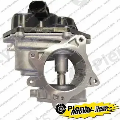 Dipasport EGR162N — EGR Valve