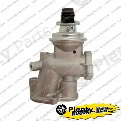 Dipasport EGR245AN — EGR Valve