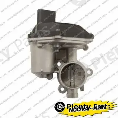 Dipasport FLAI328N — EGR Valve