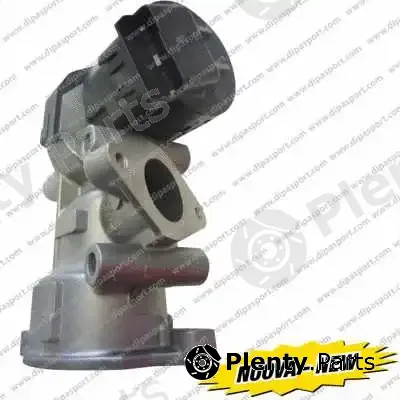 Dipasport EGR011N — EGR Valve