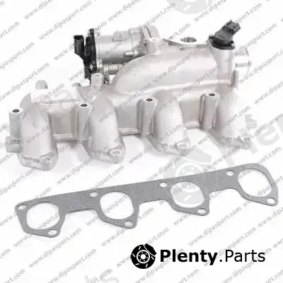 Dipasport EGR170CAN — EGR Valve