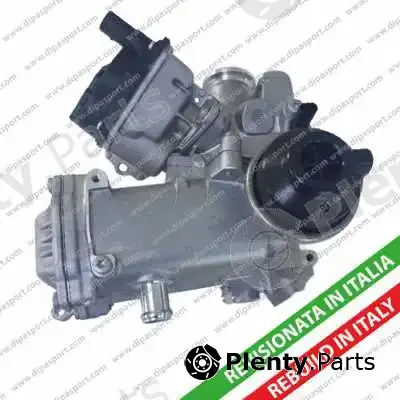Dipasport EGR152RCR — EGR Module
