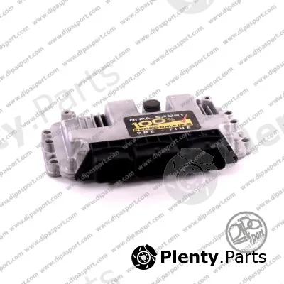 Dipasport EBME745491R — Control Unit, engine management