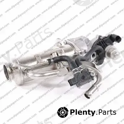 Dipasport EGR193R — EGR Valve