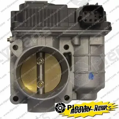 Dipasport FLAI203N — Throttle Body