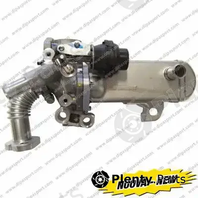 Dipasport EGR165N — EGR Valve