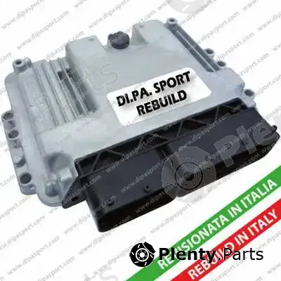Dipasport EDEDC16C8131R — Control Unit, injection system