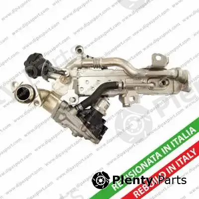 Dipasport EGR268RCR — EGR Module
