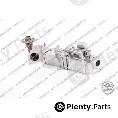 Dipasport EGR296SR — Valve, secondary air system