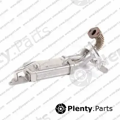 Dipasport EGR299R — Valve, secondary air system