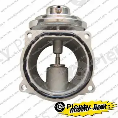 Dipasport EGR215AN — EGR Valve