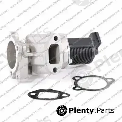 Dipasport EGR001AN — EGR Valve