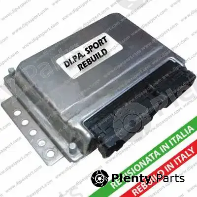 Dipasport EDEDC15C7213R — Control Unit, fuel injection