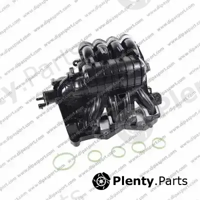 Dipasport COL172N — Manifold, exhaust system