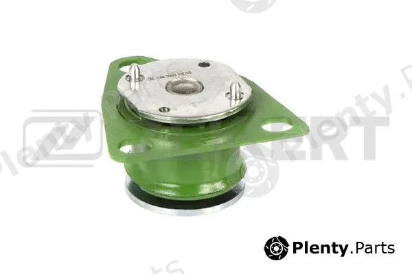 Zekkert GM-3993 — Mounting, engine