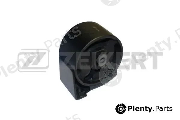 Zekkert GM-3002 — Mounting, engine