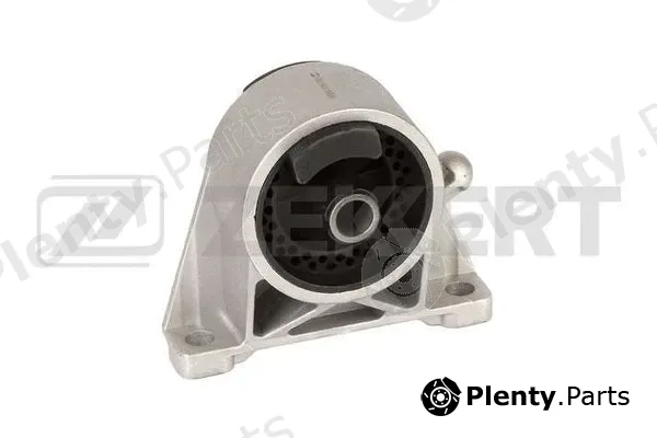 Zekkert GM-3071 — Mounting, engine