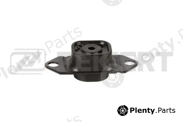Zekkert GM-3918 — Mounting, engine