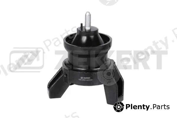 Zekkert GM-3063 — Mounting, engine