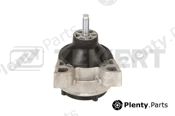 Zekkert GM-4109 — Mounting, engine